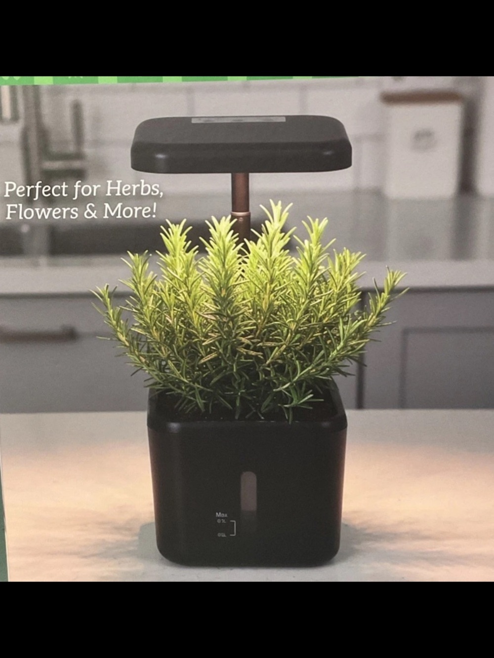 Gerson Smart Planter LED Lighted Indoor Planter Adjustable Height - Black - Picture 2 of 7